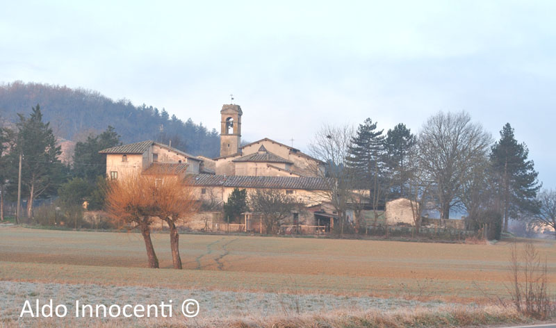 CHIESA DI SANTA MARIA A OLMI 2